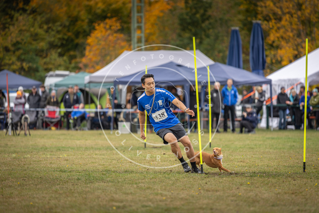 Pfotenfotografie_DV3A8193 | Hundefotografie, Tierfotograf, Pfotenfotografie, Fotoshooting Hund, Hunde Portrait, Hundesport, Hundeportraits, Heideshooting, Hunde, Sportfotograf, Hundefotograf, Turnierhundsport, THS,  - Realisiert mit Pictrs.com