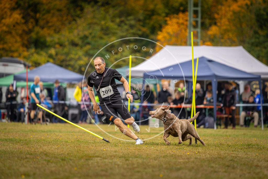Pfotenfotografie_DV3A2294 | Hundefotografie, Tierfotograf, Pfotenfotografie, Fotoshooting Hund, Hunde Portrait, Hundesport, Hundeportraits, Heideshooting, Hunde, Sportfotograf, Hundefotograf, Turnierhundsport, THS,  - Realisiert mit Pictrs.com