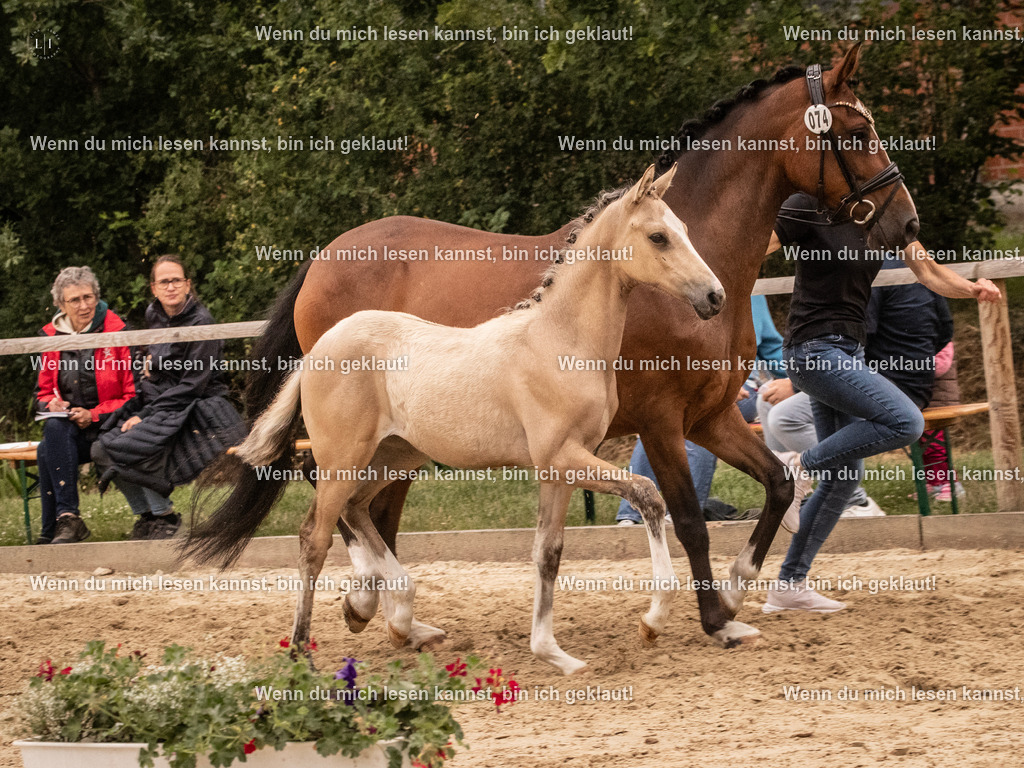 A10I3152 15.56.14 | photographylinaismer - Realisiert mit Pictrs.com