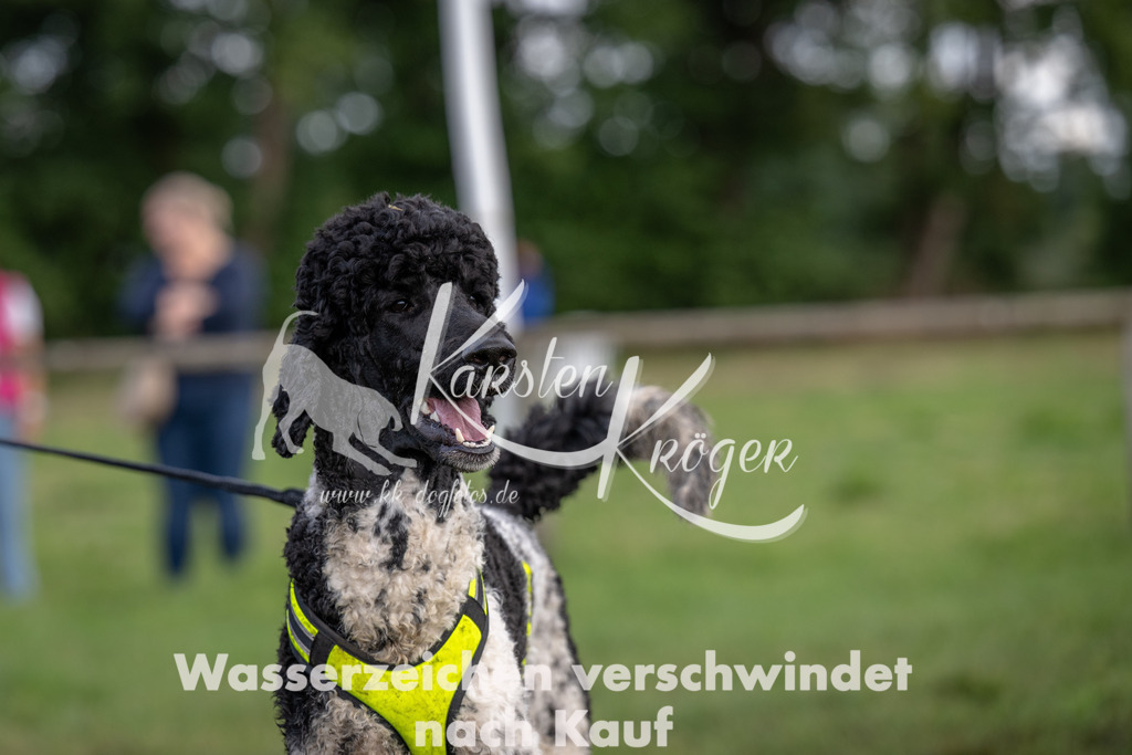 1221_ZZ90109 | kk-dogfotos