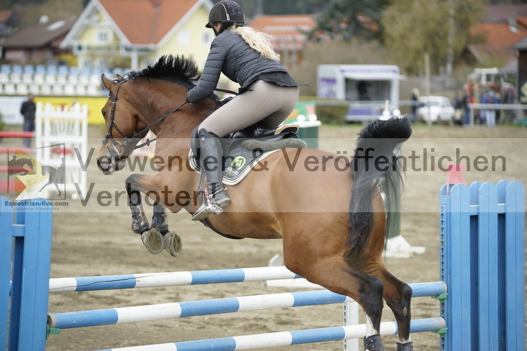 _DSC7440 | equestrian-live-com