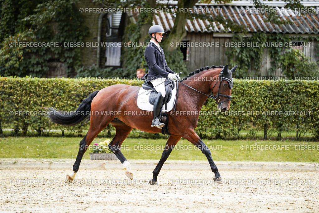 DSC08361 | Pferdegrafie