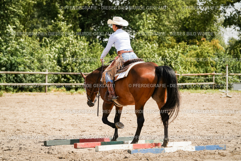 DSC09675 | Pferdegrafie