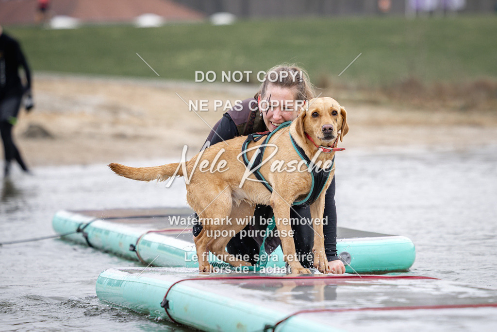 nelerasche_Hulsbeek_Sa1130-1230_431 | nelerasche