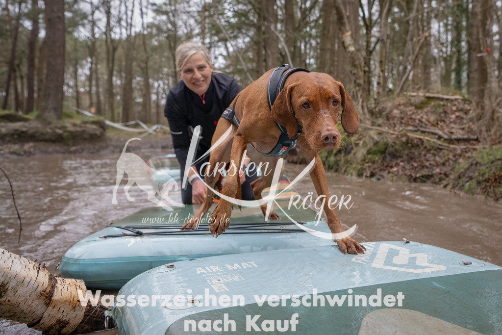 1145_ZZ94624-Bearbeitet | kk-dogfotos