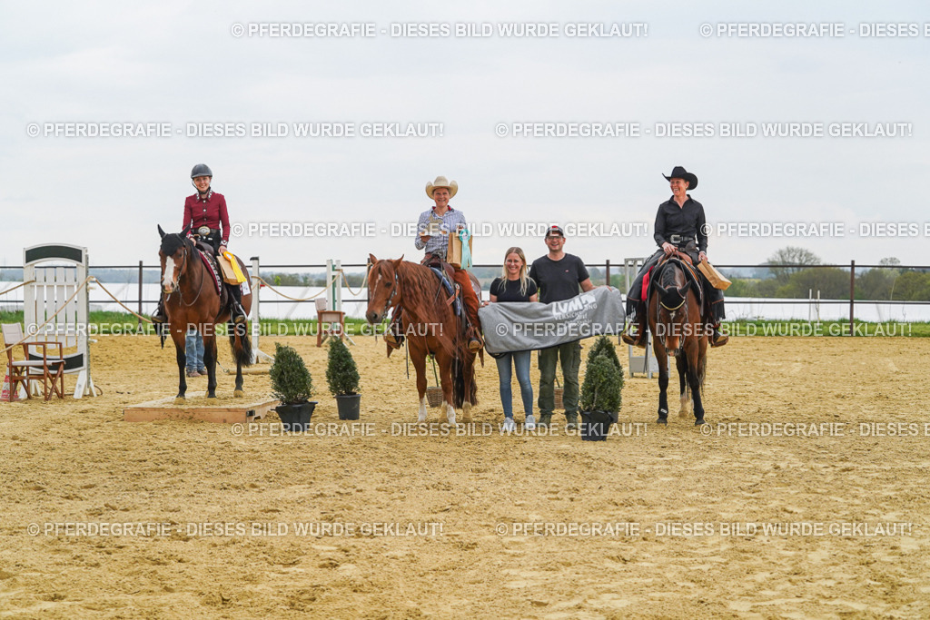 DSC07970 | Pferdegrafie