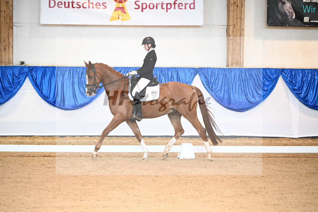 Kat-Nr. 167 Bugsy Malone_Oertel_14240717 | hf-fotografie - Realisiert mit Pictrs.com