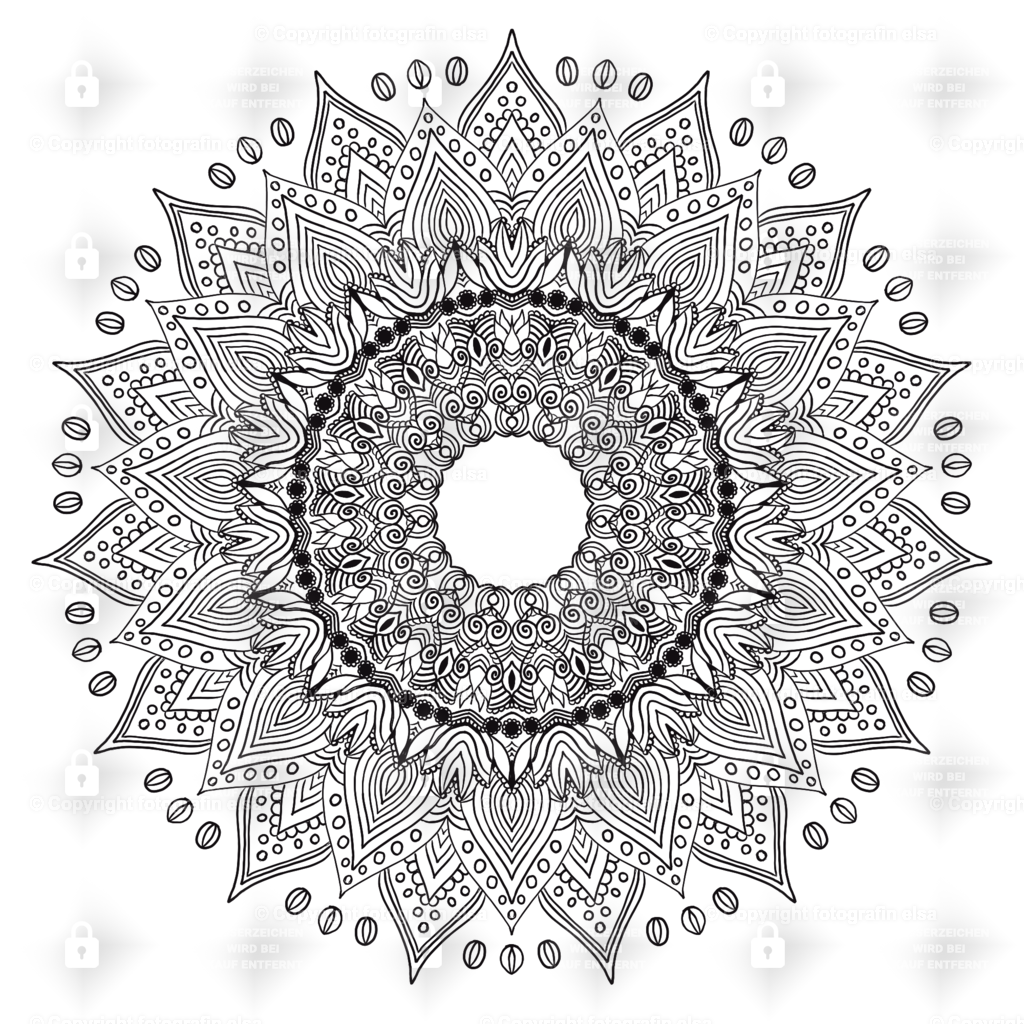 60Seite | fotografinelsa