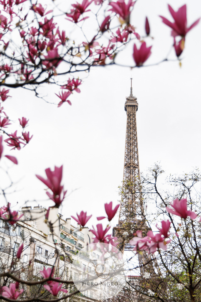 20240315-15-09-35-IMG_6472 | Galleria Dei Moment - Fotografie D' Arte | Wallart | Fotokunst - Realisiert mit Pictrs.com