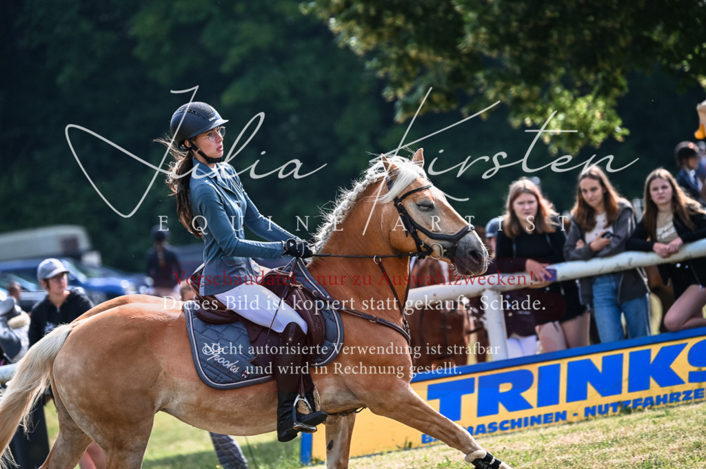 DSC_7929 | Pferde- und Turnierfotografie in Westsachsen. Pferdeportraits, Auftragszeichnungen und intuitive Kunst.