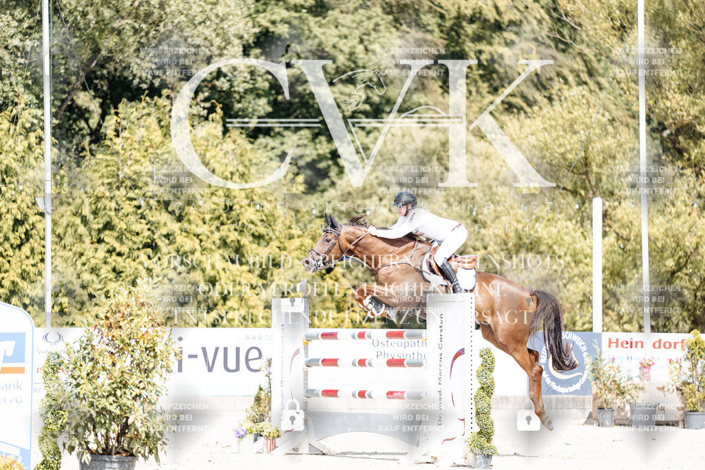 CK904993 | Turnierfotografie Pferdefotografie Trier Rheinland-Pfalz Pferdesport Reitsport Tierfotografie Sportfotografie Pferdevideo Pferdevideografie Equestrianvideography equestrianphotography  - Realisiert mit Pictrs.com