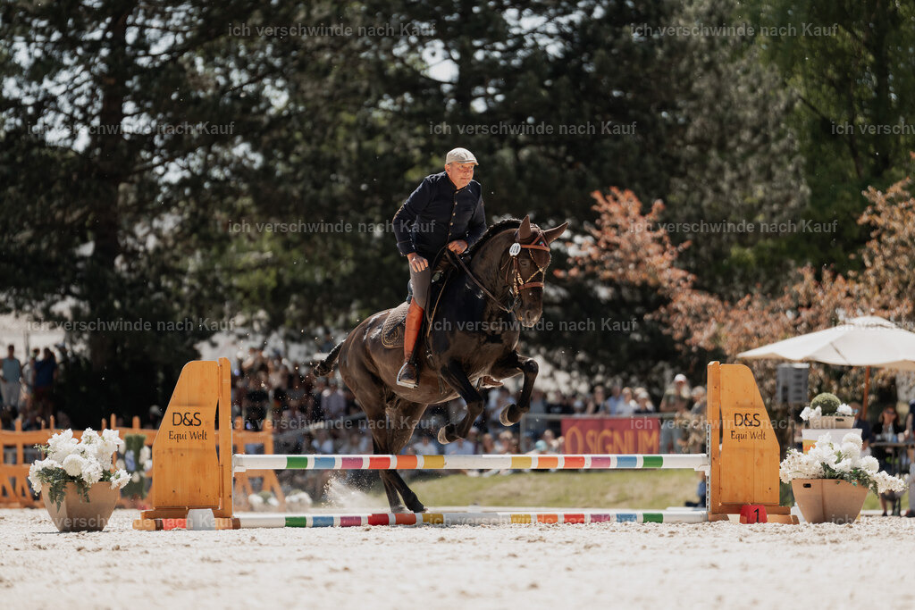 WE_SP_Stoib_320_PI2025_1734 | Pferd International München 2025