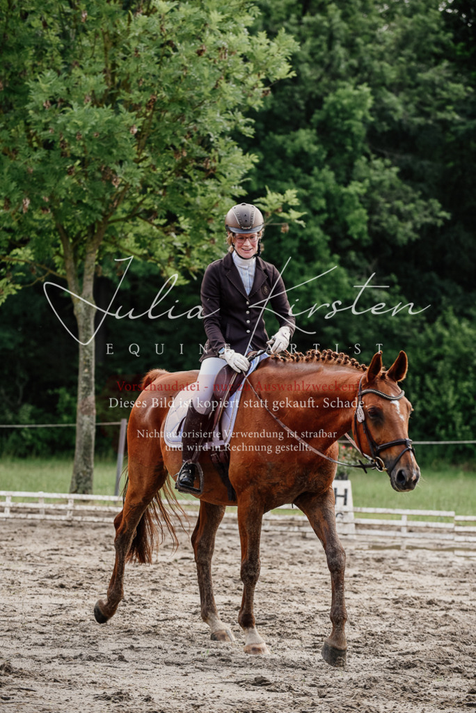 DSC_9727 | Pferde- und Turnierfotografie in Westsachsen. Pferdeportraits, Auftragszeichnungen und intuitive Kunst.