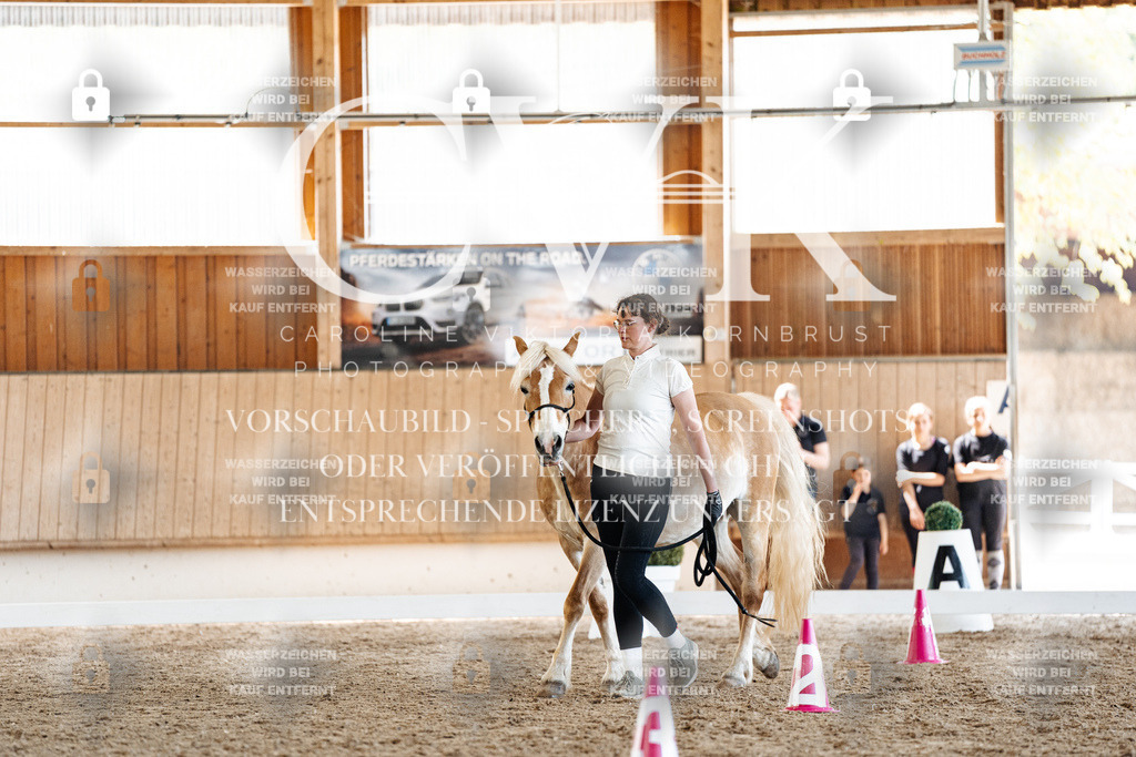 CK907336 | Turnierfotografie Pferdefotografie Trier Rheinland-Pfalz Pferdesport Reitsport Tierfotografie Sportfotografie Pferdevideo Pferdevideografie Equestrianvideography equestrianphotography  - Realisiert mit Pictrs.com