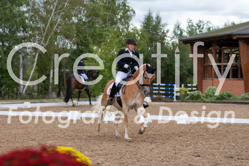 IMG_5818 | Creatify Fotografie