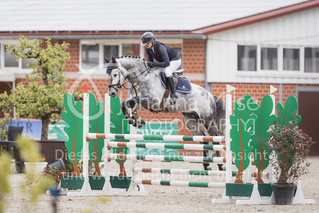 230516_Mühlen_04SprPf-L-413 | Deine schönsten Turniermomente als professionelle Fotos! Entdecke hochwertige Pferdesport-Fotografie im Online-Shop. Jetzt Fotos finden & bestellen!