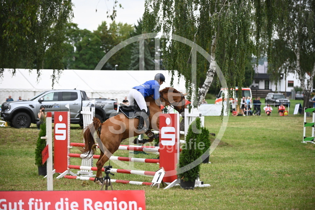 DSC_2533 | sattelsport - Realisiert mit Pictrs.com