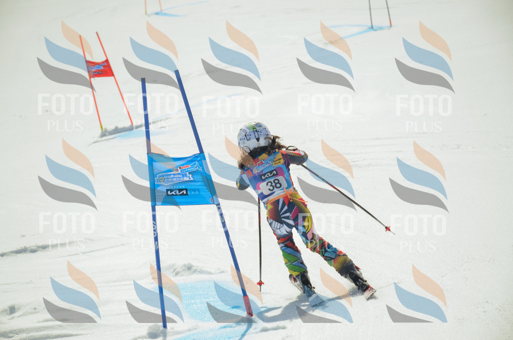 _ELE4997 | holidayphoto