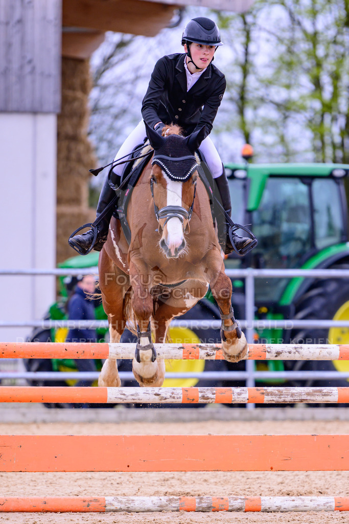 12042026-Mammendorf-Prfg39-0123 | Fokus Hufschlag Fotografie - Realisiert mit Pictrs.com