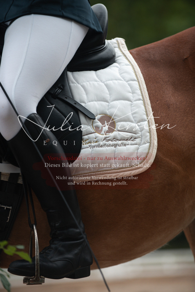 DSC_9842 | Pferde- und Turnierfotografie in Westsachsen. Pferdeportraits, Auftragszeichnungen und intuitive Kunst.