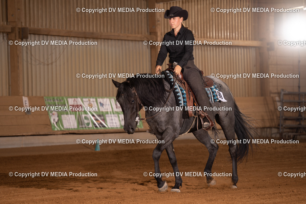 NID00978 | dv-media-shop - Realisiert mit Pictrs.com