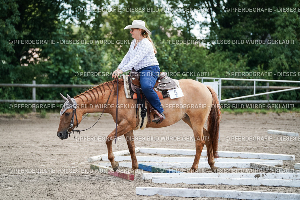 DSC05856 | Pferdegrafie