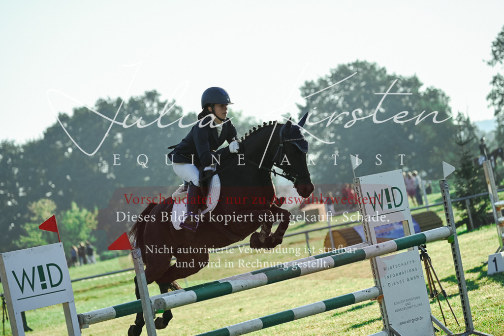 DSC_4090 | Pferde- und Turnierfotografie in Westsachsen. Pferdeportraits, Auftragszeichnungen und intuitive Kunst.