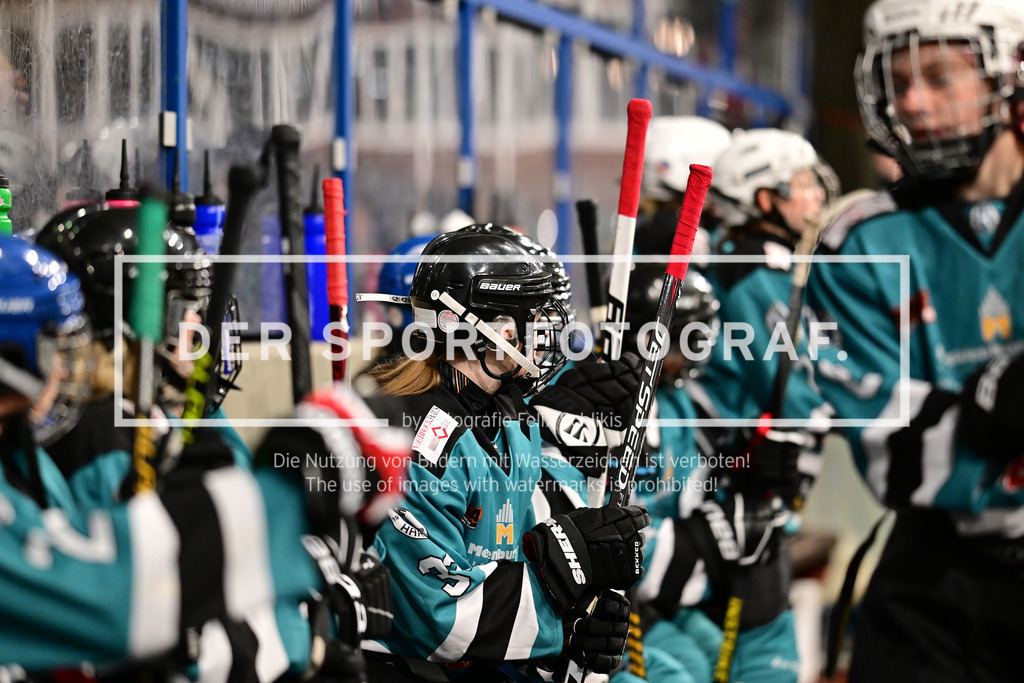 Eishockey I Frauen I Saison 2023-2024 I Testspiel I TuS Harsefeld Tigers - Crocodiles Hamburg I 05021 | Der Sportfotograf. - Realisiert mit Pictrs.com