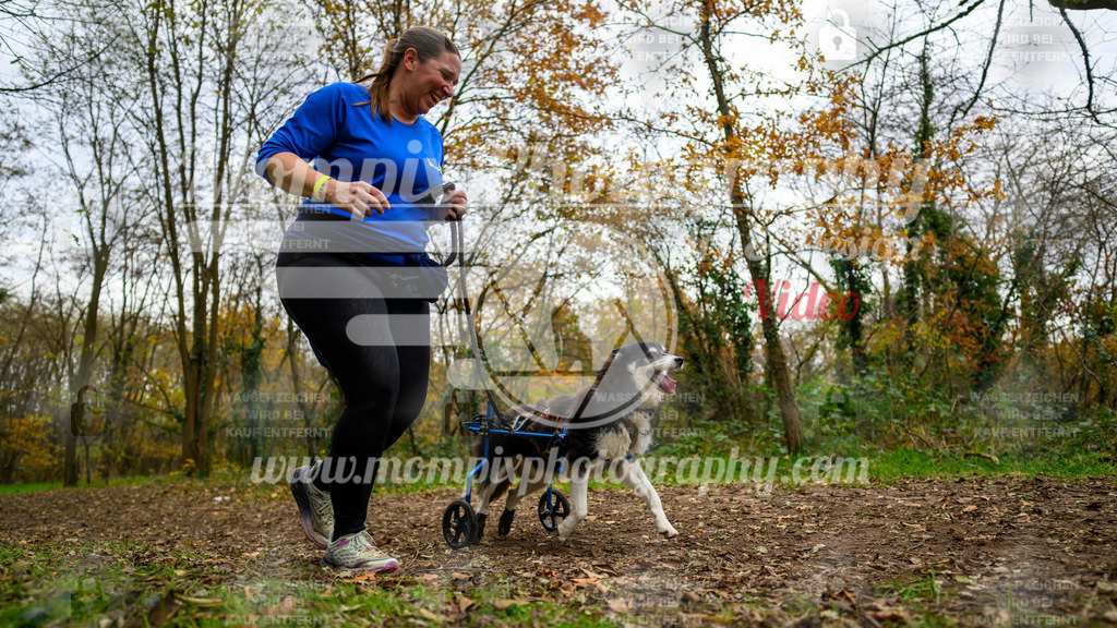 MompixPhotography_Bischwiller24_DI_CoursedeRelais-128 | PayLife