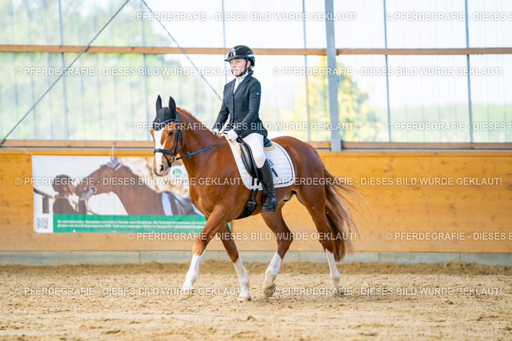 DSC06830 | Pferdegrafie