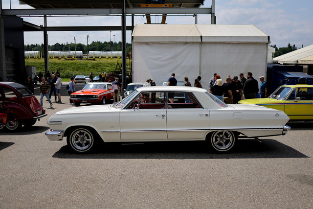 Calag_Oldtimer2025-27 | Ich fotografiere Hundeausstellungen, Sportanlässe, Zuchtstätten, Hundezucht, Hundeportrait, Lagotto - Realisiert mit Pictrs.com