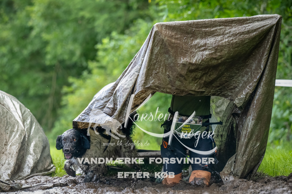 1142_ZZ93983-Bearbeitet | kk-dogfotos