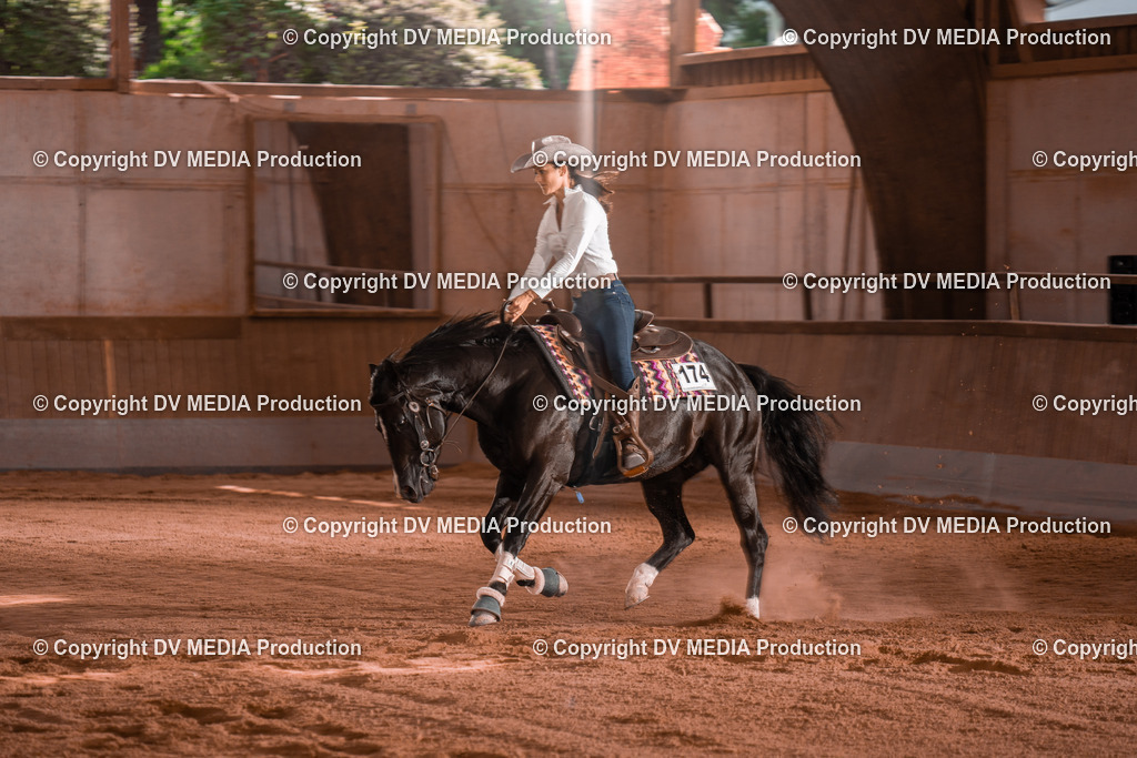 NE201225 | dv-media-shop - Realisiert mit Pictrs.com