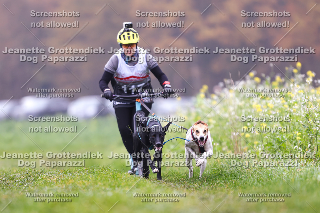 Dog Paparazzi - Visbeck 25 -76 | Dog Paparazzi Jeanette Grottendiek Fotografie & Videografie - Realisiert mit Pictrs.com