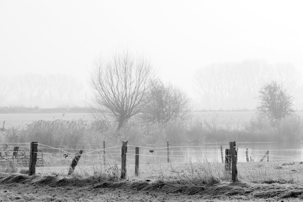 110129-059 | Europa, DEU, Deutschland, Nordrhein Westfalen, NRW, Rheinland, Niederrhein, Kleve-Kellen, Kolk, Gewaesser, Der Breijpott, Winter, Frost, Landschaft, Dunst, Gegenlicht, Kategorien und Themen, Natur, Umwelt, Landschaft, Jahreszeiten, Stimmungen, Landschaftsfotografie, Landschaften, Landschaftsphoto, Landschaftsphotographie, Wetter, Wetterelemente, Wetterlage, Wetterkunde, Witterung, Witterungsbedingungen, Wettererscheinungen, Meteorologie, Wettervorhersage

[Fuer die Nutzung gelten die jeweils gueltigen Allgemeinen Liefer-und Geschaeftsbedingungen. Nutzung nur gegen Verwendungsmeldung und Nachweis. Download der AGB unter http://www.image-box.com oder werden auf Anfrage zugesendet. Freigabe ist vorher erforderlich. Jede Nutzung des Fotos ist honorarpflichtig gemaess derzeit gueltiger MFM Liste - Kontakt, Uwe Schmid-Fotografie, Duisburg, Tel. (+49).2065.677997, archiv@image-box.com, www.image-box.com] - Realisiert mit Pictrs.com