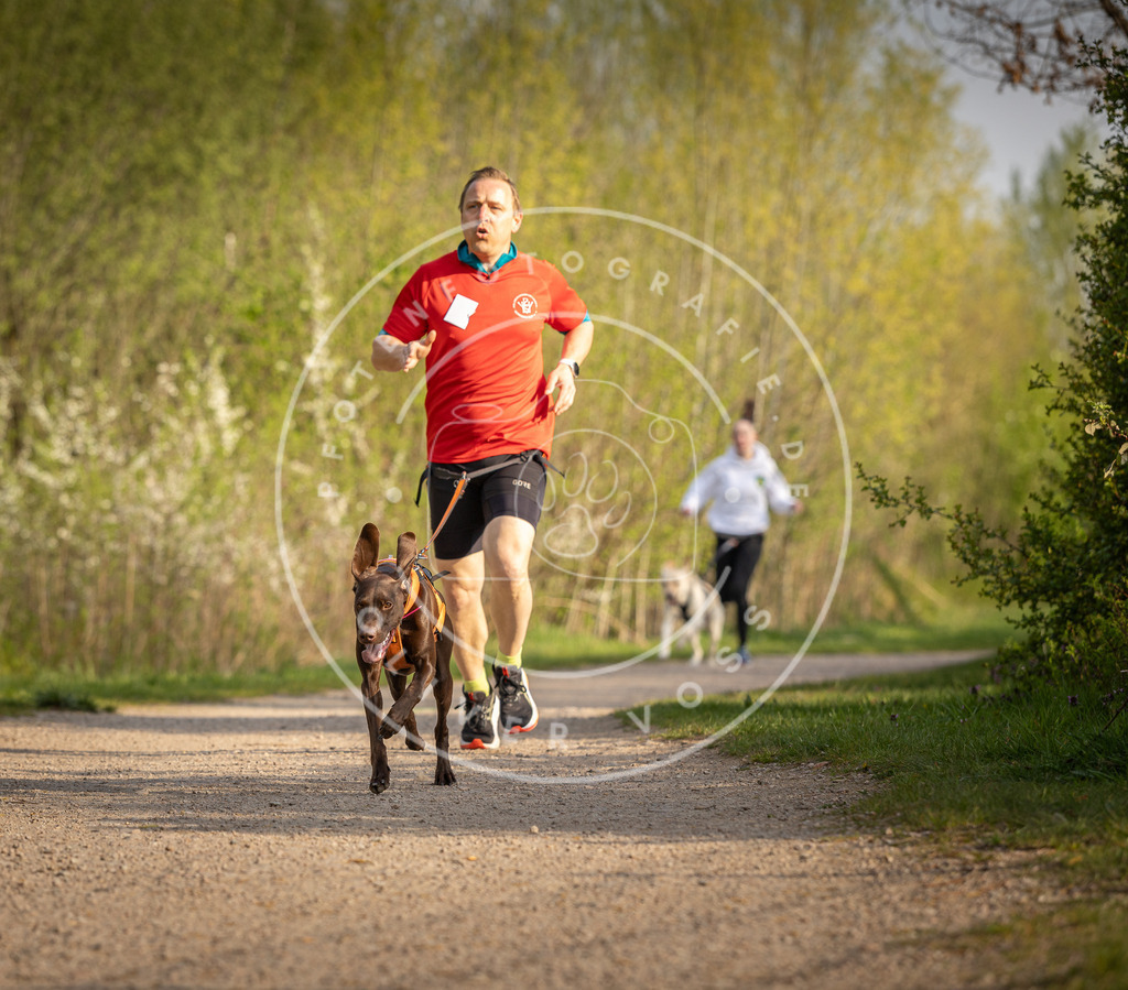 Pfotenfotografie_DV3A4534 | Hundefotografie, Tierfotograf, Pfotenfotografie, Fotoshooting Hund, Hunde Portrait, Hundesport, Hundeportraits, Heideshooting, Hunde, Sportfotograf, Hundefotograf, Turnierhundsport, THS,  - Realisiert mit Pictrs.com