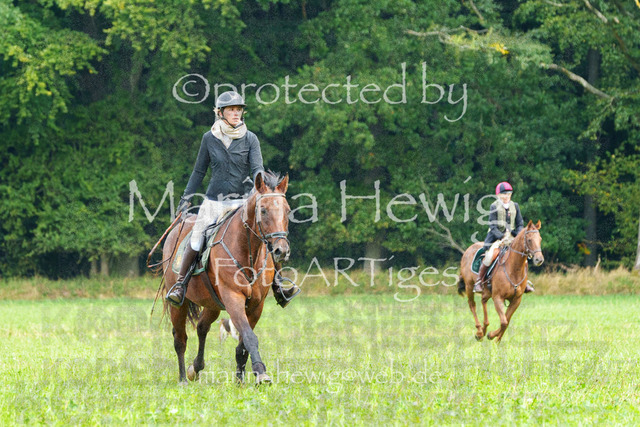 Jagd Perdoel_MarinaHewigMCH04443 | Fotografie, FotoArt, PferdesportArt, Pferdesportfotografie, Landschaftsfotografie, Reisefotografie, Reise, Pferde - Realisiert mit Pictrs.com