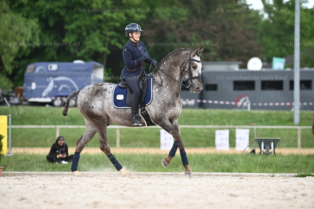 PI26_ST_Sara_Landvogt226_3294.JPG | working equitationturnier fotograf videograf stoibphotography marixx film working equitation deutschland reitsport turnierfotografie eventfotografie equestrian events
