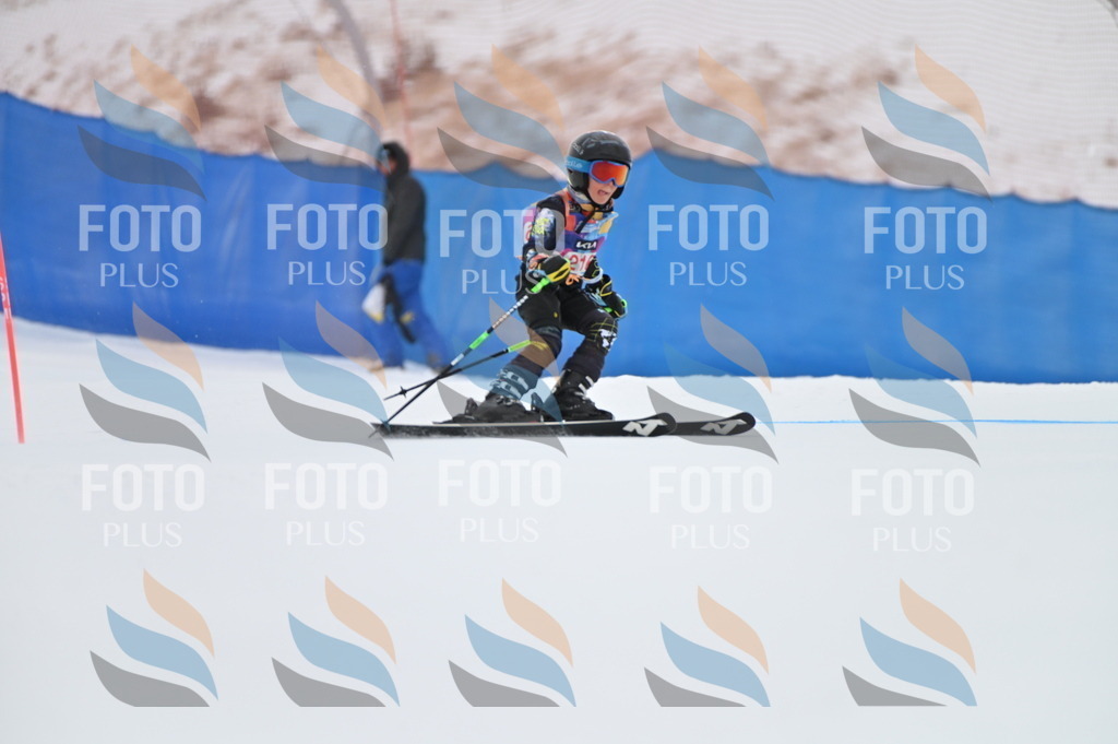 BGV_2779 | holidayphoto