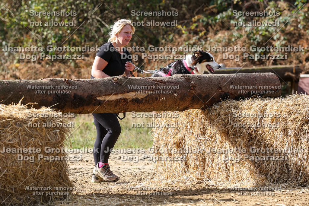 Dog Paparazzi - Strongdog 10-25-5291 | Dog Paparazzi Jeanette Grottendiek Fotografie & Videografie - Realisiert mit Pictrs.com