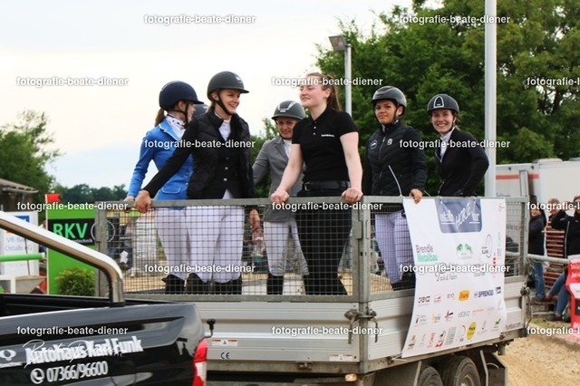 OHT0911 | Fotografie, Tiere, Hunde, Katzen, Pferde, Sportfotografie, Fotosession, Tierfotografie, Turnierfotografie, Fotografin, Fotograf - Realisiert mit Pictrs.com