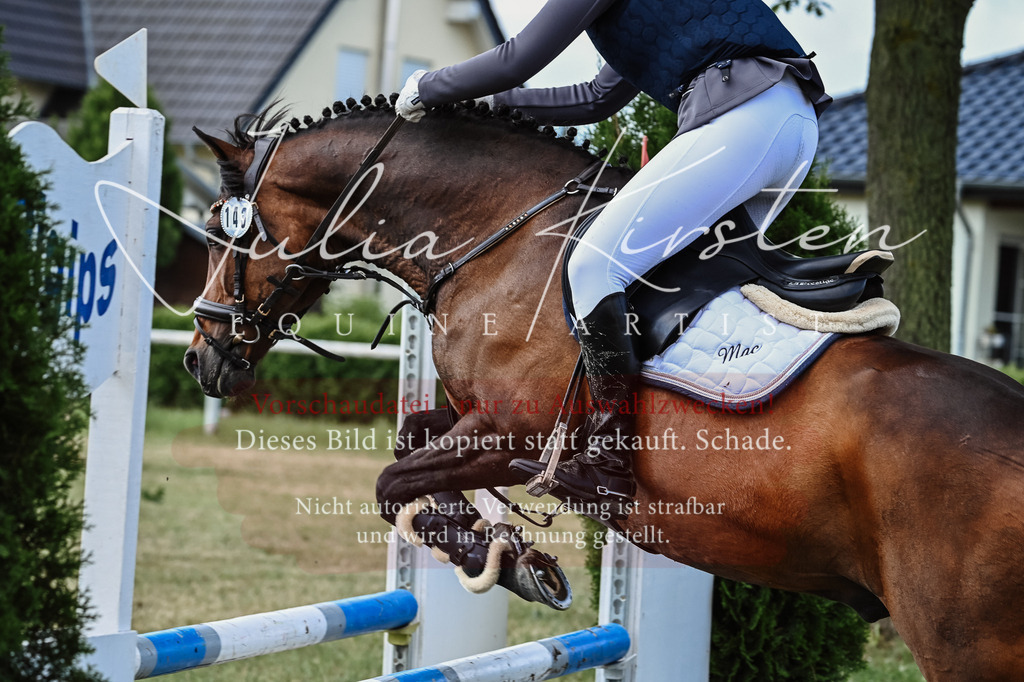 DSC_8017 | Pferde- und Turnierfotografie in Westsachsen. Pferdeportraits, Auftragszeichnungen und intuitive Kunst.