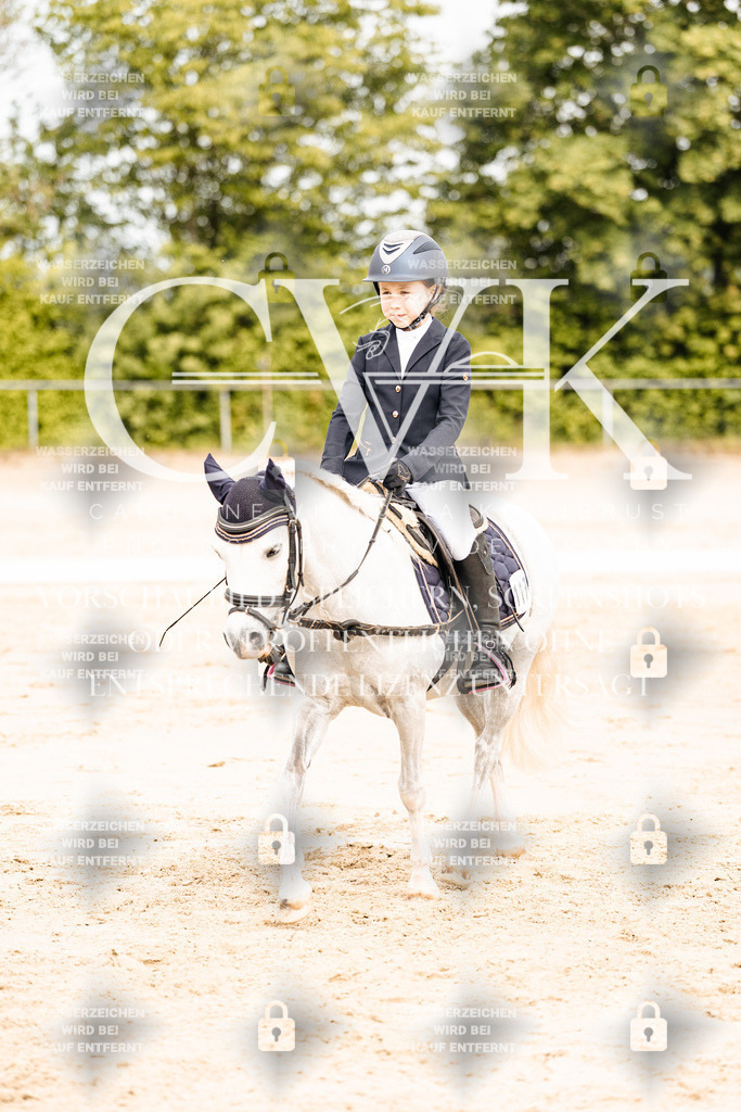 CK904505 | Turnierfotografie Pferdefotografie Trier Rheinland-Pfalz Pferdesport Reitsport Tierfotografie Sportfotografie Pferdevideo Pferdevideografie Equestrianvideography equestrianphotography  - Realisiert mit Pictrs.com