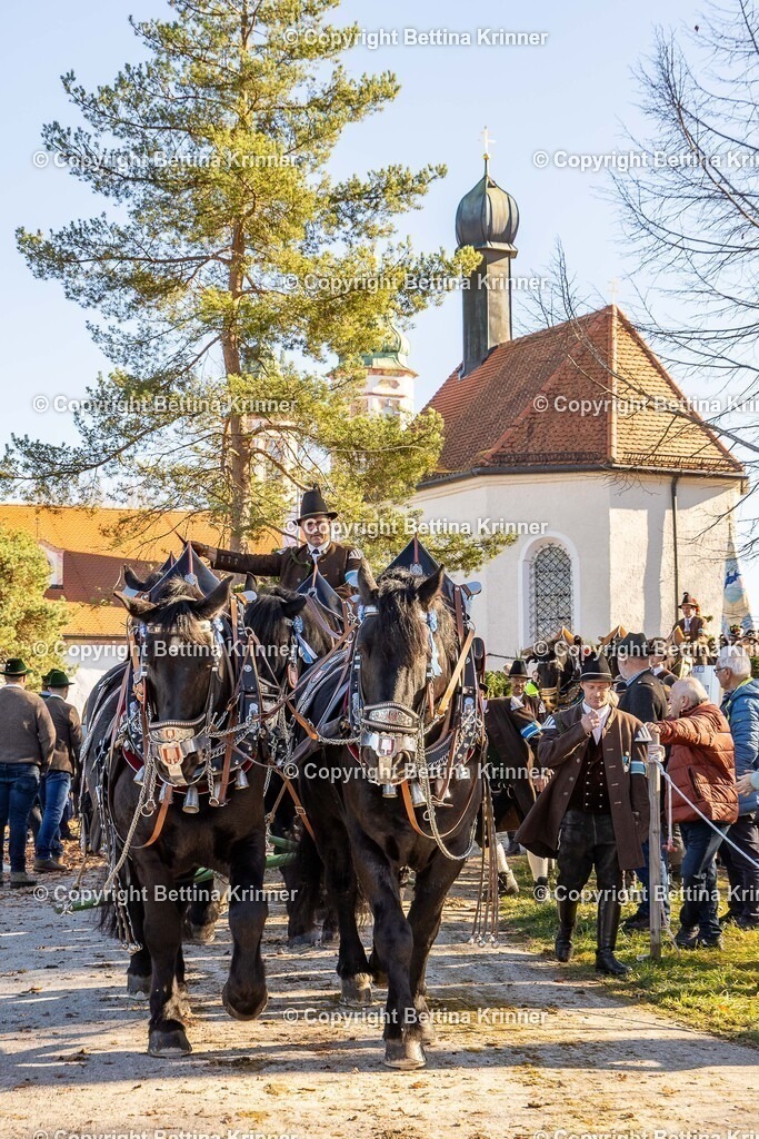 LBT25-1295 | foto-bettina-krinner - Realisiert mit Pictrs.com