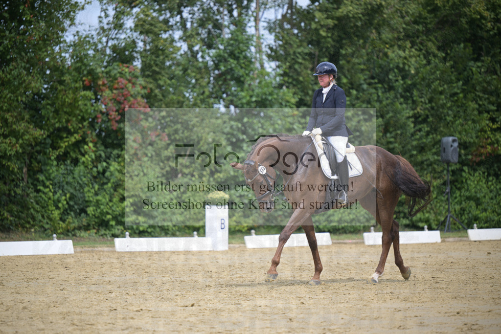 DOS_0237 | Entdecke hochwertige Reitturnierfotos von Foto Oger. Professionell, emotional und authentisch – jetzt Lieblingsmomente im Shop bestellen.Deutschlandweite Turnierfotografie. - Realisiert mit Pictrs.com