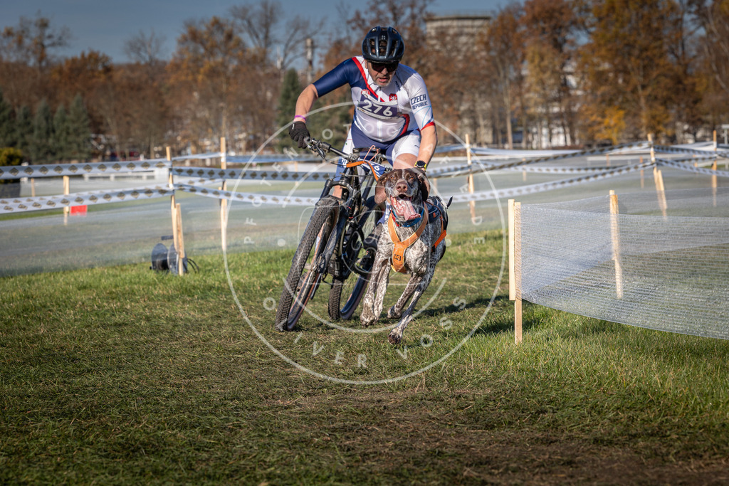 CaniXpix_0L8A5192 | Hundefotografie, Tierfotograf, Pfotenfotografie, Fotoshooting Hund, Hunde Portrait, Hundesport, Hundeportraits, Heideshooting, Hunde, Sportfotograf, Hundefotograf, Turnierhundsport, THS,  - Realisiert mit Pictrs.com