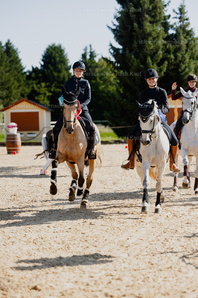 Svea13FHC2025-27816 | working equitationturnier fotograf videograf stoibphotography marixx film working equitation deutschland reitsport turnierfotografie eventfotografie equestrian events