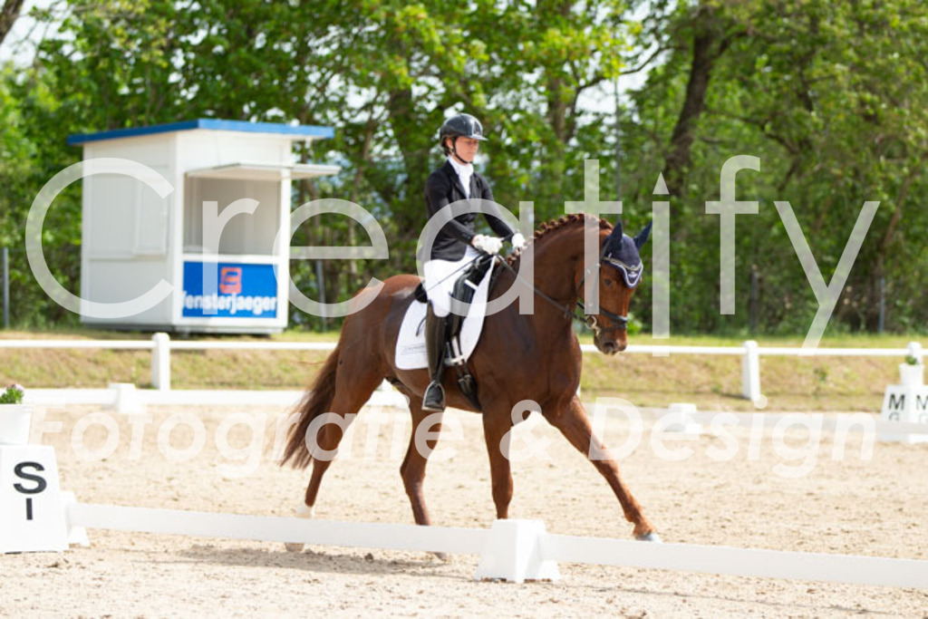 IMG_2543 | Creatify Fotografie