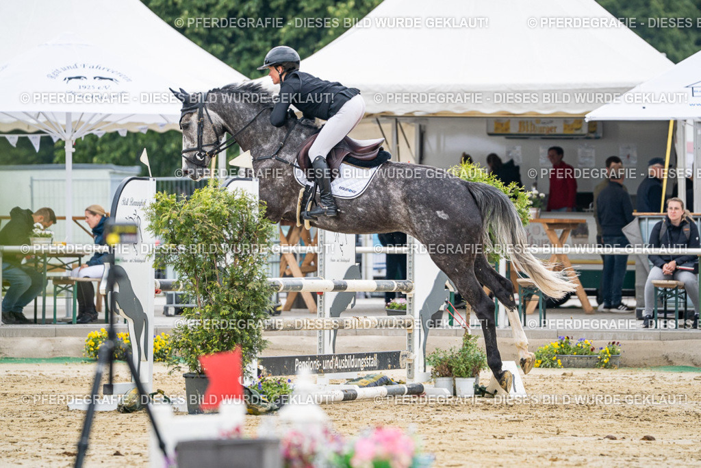 DSC00232 | Pferdegrafie