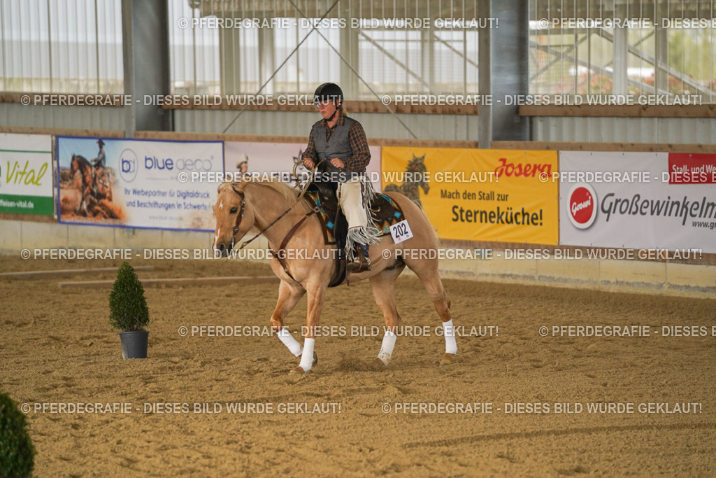 DSC04916 | Pferdegrafie